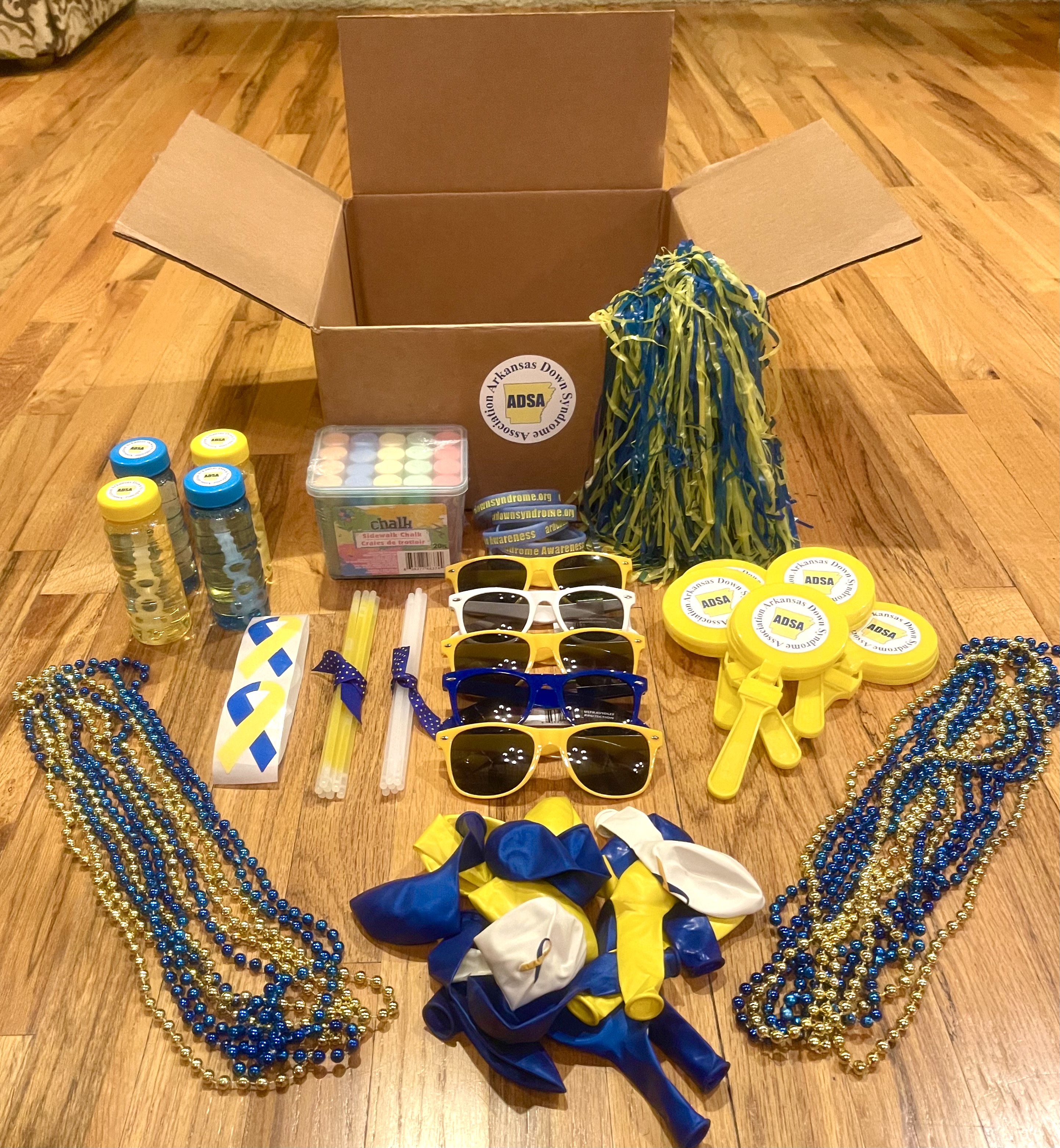 buddy walk goodie pic.jpg